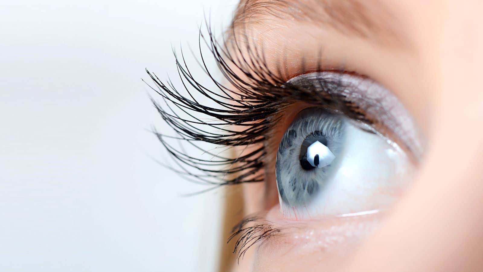 Eyes on Shrooms: The Effect of Shrooms and Other Substances on the Eyes
