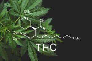THC-O Effects